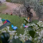 Tsertos Aparthotel Kamena Vourla