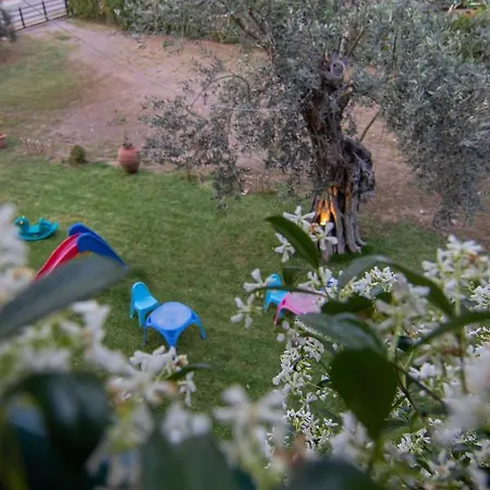 Tsertos Apart Otel Kamena Vourla