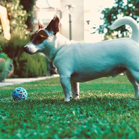 Lägenhetshotell Tsertos 4*