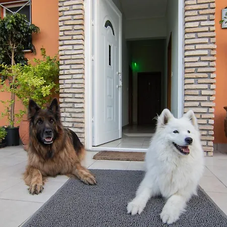 Apart Otel Tsertos 4*