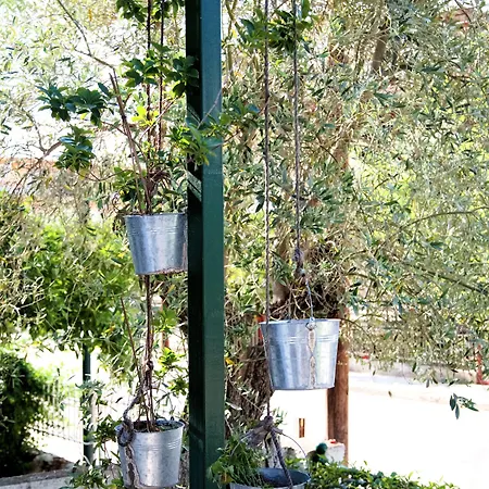 Tsertos Lägenhetshotell 4*